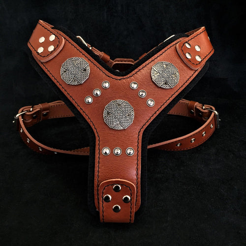 The Maximus silver harness genuine leather