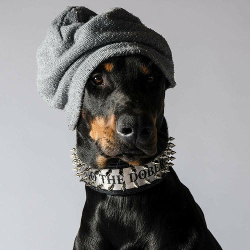 The Metal collar- personalized!