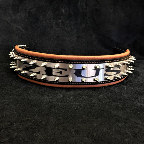 The Metal collar- personalized!