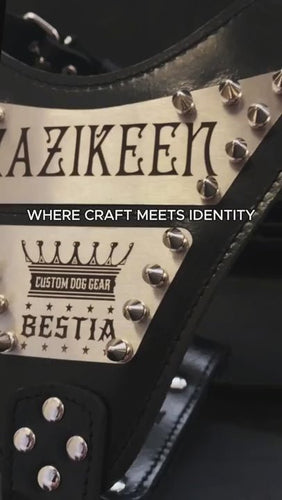 The Metal harness- Personalized!