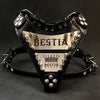 The Metal harness small to medium size - Personalized