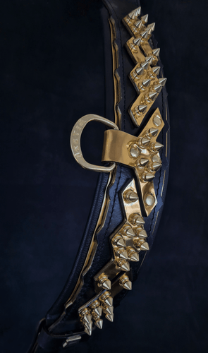 The ''Midas'' Collar Gold for the big dogs