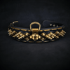 The ''Midas'' Collar Gold for the big dogs