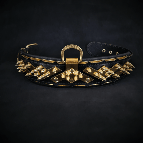 The ''Midas'' Collar Gold for the big dogs