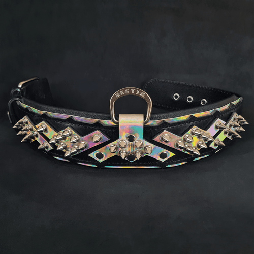 The ''Midas'' Collar Silver medium to giant dogs