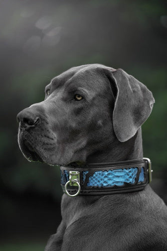 The ''Morelia Python'' collar UNIQUE