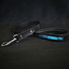 The ''Morelia Python'' leash Eye-Catching