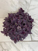 Tradescantia Zebrina Red Mini, 6 Plant