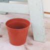 2 Growing Pot