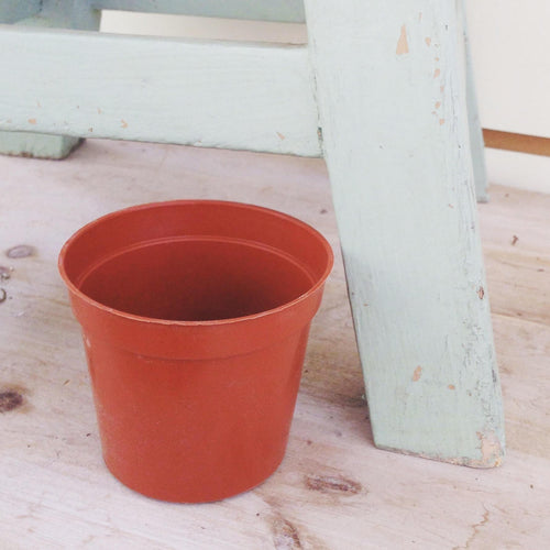 2 Growing Pot