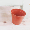 2 Growing Pot