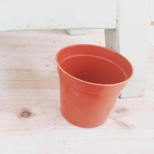 2 Growing Pot