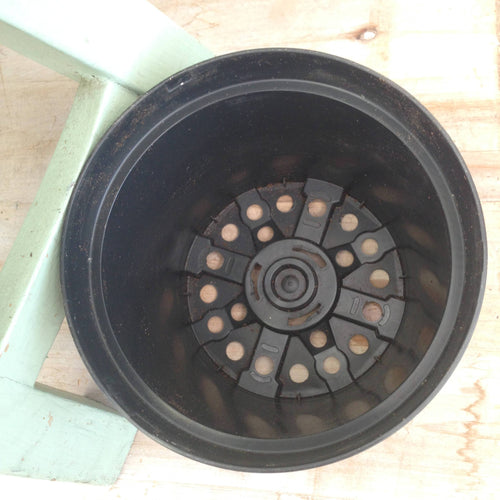 4 Growing Pot