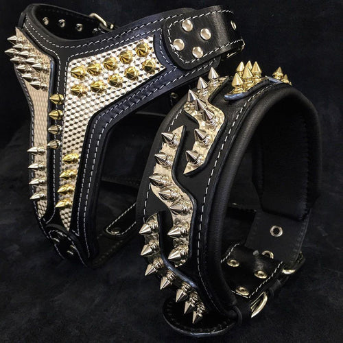 The ''Platinum'' collar unique