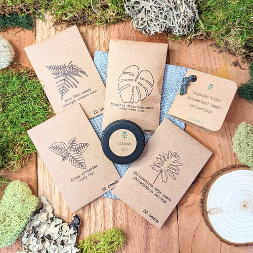 The Popular Kids Houseplant Seed Collection