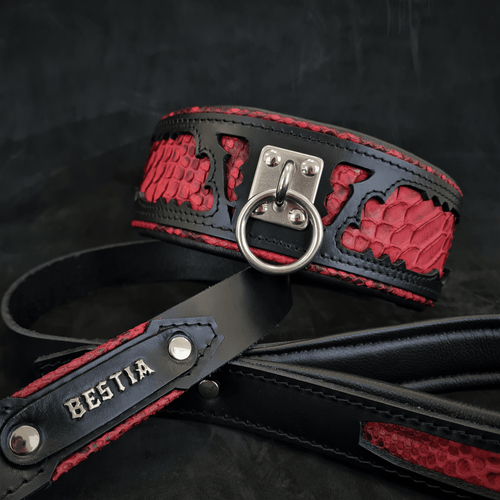 The ''Red Dragon'' leash - very durable