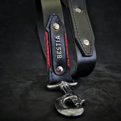 The ''Red Dragon'' leash - very durable