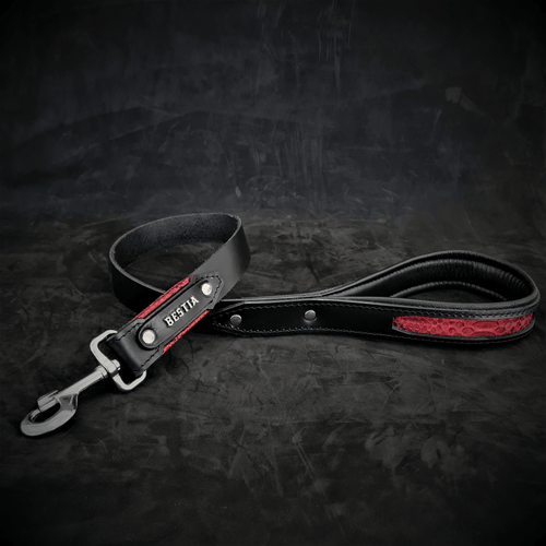The ''Red Dragon'' leash - very durable