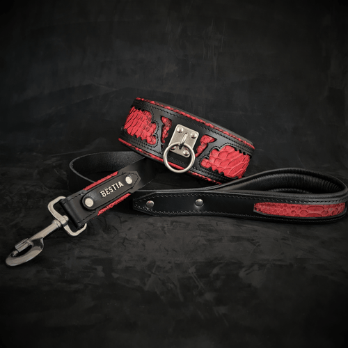 The ''Red Dragon'' leash - very durable