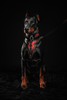 The ''Red Dragon'' leash - very durable