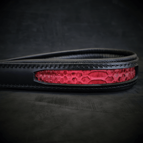 The ''Red Dragon'' leash - very durable