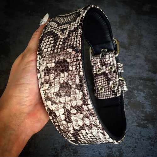The ''Rock Python'' collar - eye catching design