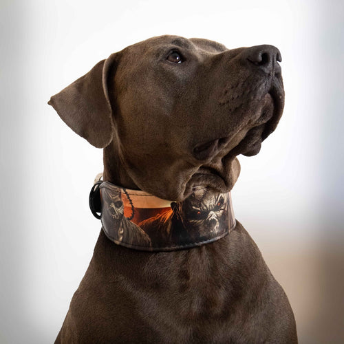 The Scare Collar Limited Exclusive Halloween Collection
