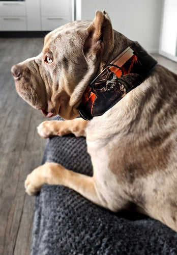 The Scare Collar Limited Exclusive Halloween Collection