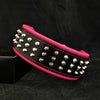 The Stud dog collar by Bestia