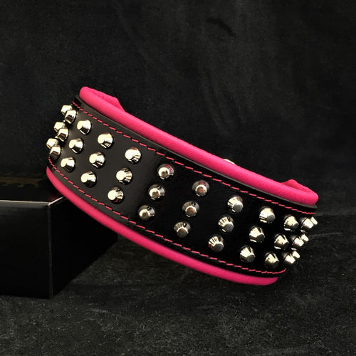 The Stud dog collar by Bestia
