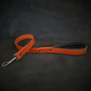 The durable Style leash by Bestia