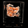 Thomsonite Orange Rare Find Natural Mineral Specimen # B 6644