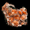 Thomsonite Orange Rare Find Natural Mineral Specimen # B 6644