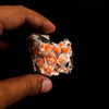 Thomsonite Orange Rare Find Natural Mineral Specimen # B 6644