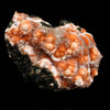 Thomsonite Orange Rare Find Natural Mineral Specimen # B 6644