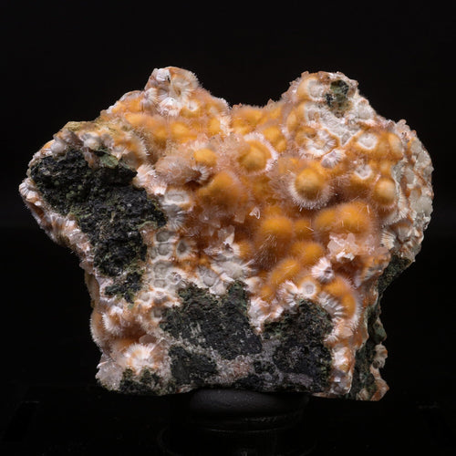 Thomsonite Orange Rare Find Natural Mineral Specimen # B 6721