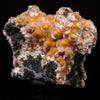 Thomsonite Orange Rare Find Natural Mineral Specimen # B 6721