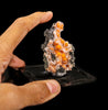 Thomsonite Orange Rare Find Natural Mineral Specimen # B 6867