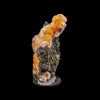 Thomsonite Orange Rare Find Natural Mineral Specimen # B 6867