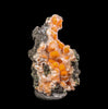 Thomsonite Orange Rare Find Natural Mineral Specimen # B 6867