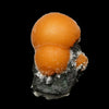 Thomsonite Orange Rare Find Natural Mineral Specimen # B 7058