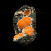 Thomsonite Orange Rare Find Natural Mineral Specimen # B 7065