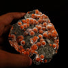 Thomsonite Orange with Mesolite and Heulandite - *Rare Find* Free Standing, Natural Mineral Specimen # B 5965 Museum