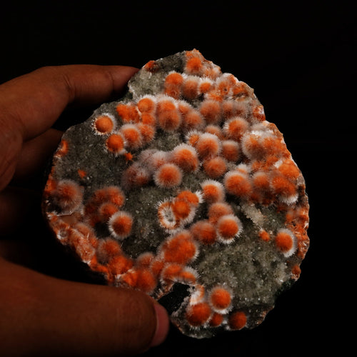 Thomsonite Orange with Mesolite and Heulandite - *Rare Find* Free Standing, Natural Mineral Specimen # B 5965 Museum