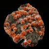 Thomsonite Orange with Mesolite and Heulandite - *Rare Find* Free Standing, Natural Mineral Specimen # B 5965 Museum