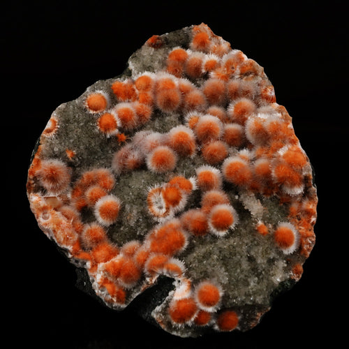 Thomsonite Orange with Mesolite and Heulandite - *Rare Find* Free Standing, Natural Mineral Specimen # B 5965 Museum