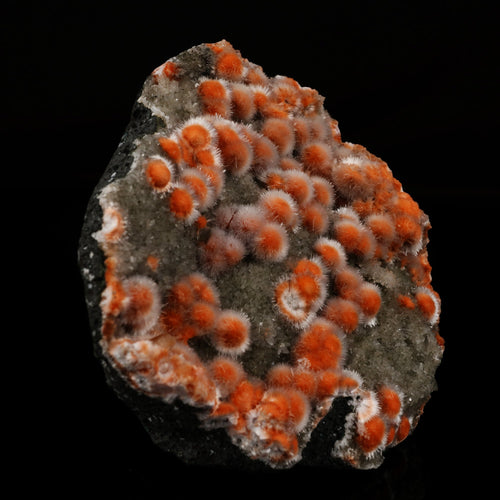 Thomsonite Orange with Mesolite and Heulandite - *Rare Find* Free Standing, Natural Mineral Specimen # B 5965 Museum
