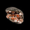 Thomsonite Pink Rare Find Natural Mineral Specimen # B 5873