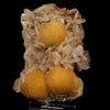 Thomsonite Rare Find Natural Mineral Specimen # B 5742