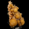 Thomsonite Rare Find with Stilbite Natural Mineral Specimen # B 5768